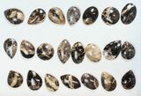 Lot: Polished Madagascar Black Opal Pendants - Pieces #138974-1